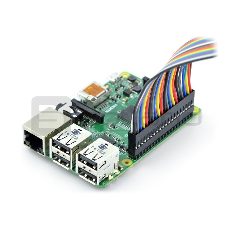 PiTail 40kolíkový kabel s 35cm konektory pro Raspberry Pi B +