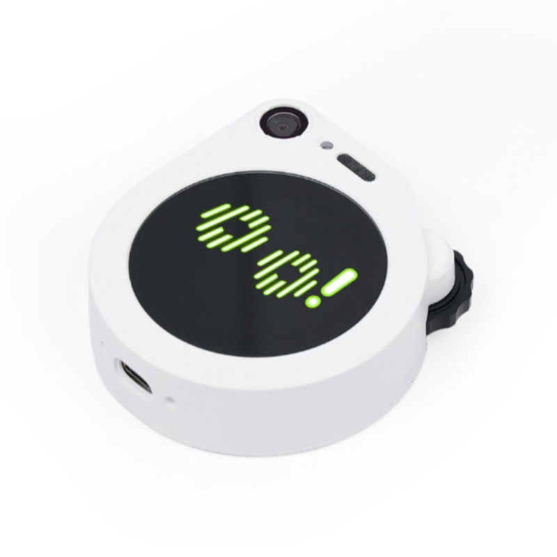 SenseCAP Watcher W1-B (White Enclosure)