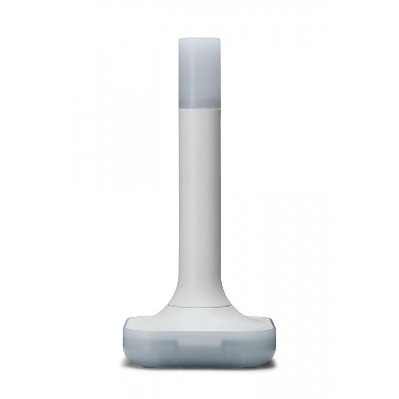 HA Connect ZBT-2