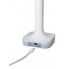 HA Connect ZBT-2