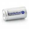 Baterie EverActive R14 / C Ni-MH 3500 mAh Silver Line - zdjęcie 1