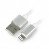 USB A - Lightning silikonový kabel pro iPhone / iPad / iPod - 1m - zdjęcie 1
