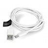 Kabel USB 3.0, typ C, 1,5 m Esperanza EB226W - bílý oplet - zdjęcie 2