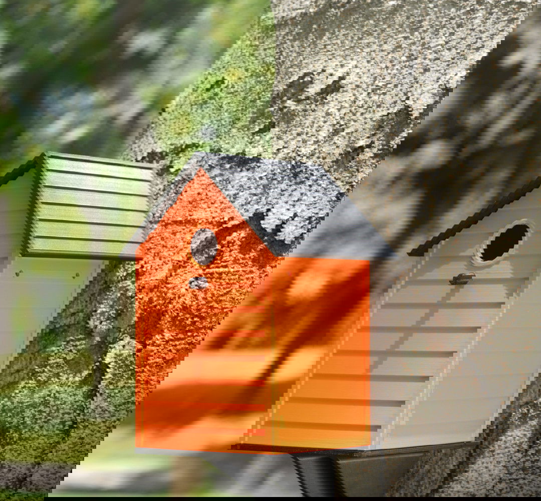 Bambu Lab PETG-HF vlákno 1,75 mm 1 kg – součástí balení s opakovaně použitelnou cívkou – černá