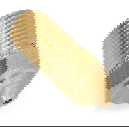 Tryska 0,8 mm pro 3D tiskárny Elegoo Neptune 4/4 Pro - filament 1,75 mm - mosaz